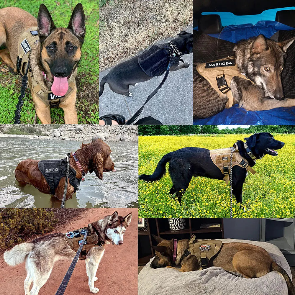 Large Dog Harness Collar Leash Molle Pouches