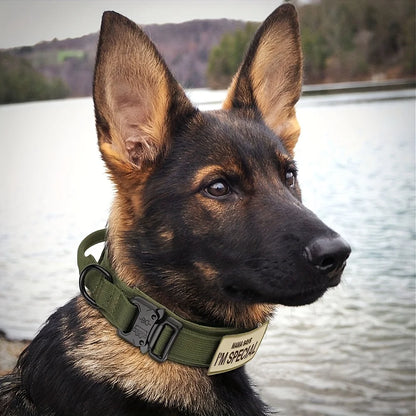 Heavy Duty Tactical Dog Collar with Handle – Military Style for Medium & Large Dogs